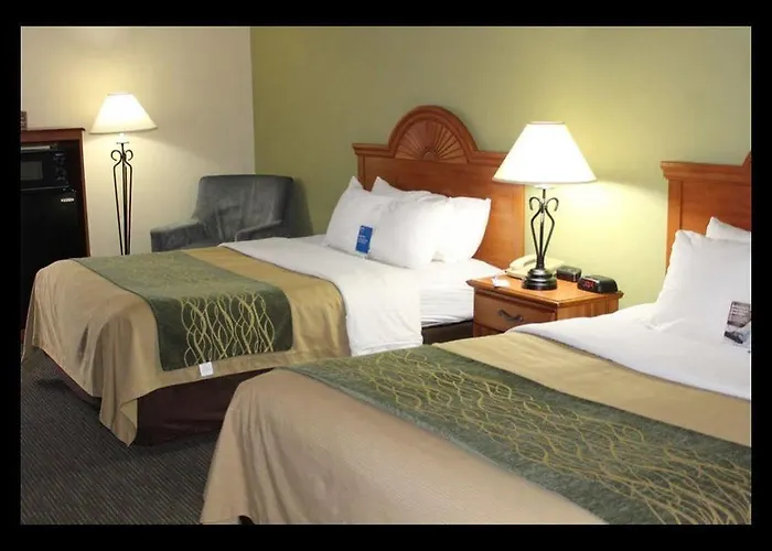 Presidential & Suites - Motel